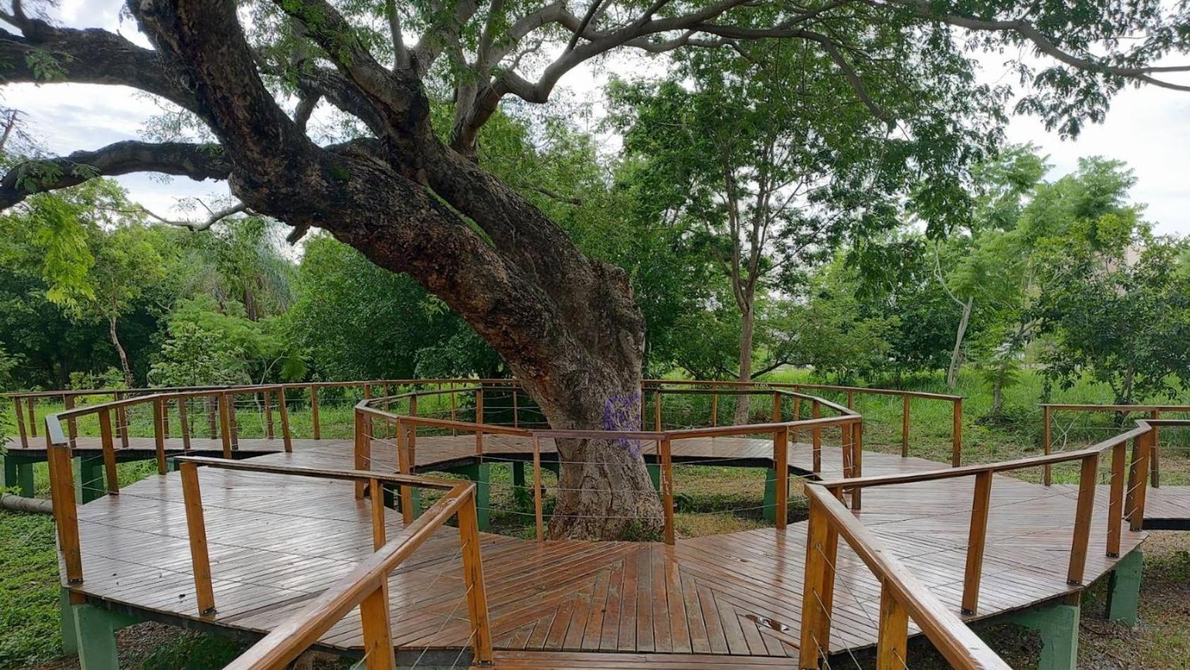 Aconchegante De 2 Quartos * Cuiaba (Mato Grosso)
